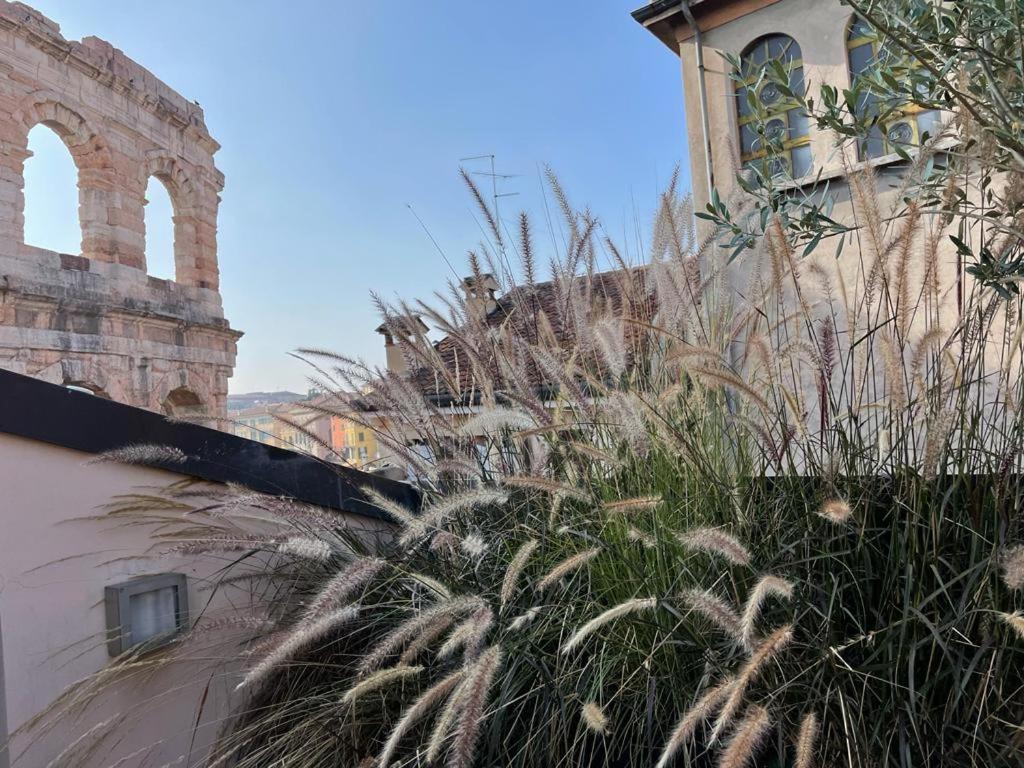 شقة La Terrazza Sull'Arena فيرونا المظهر الخارجي الصورة